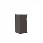 ���� ��-3.1 (�) 